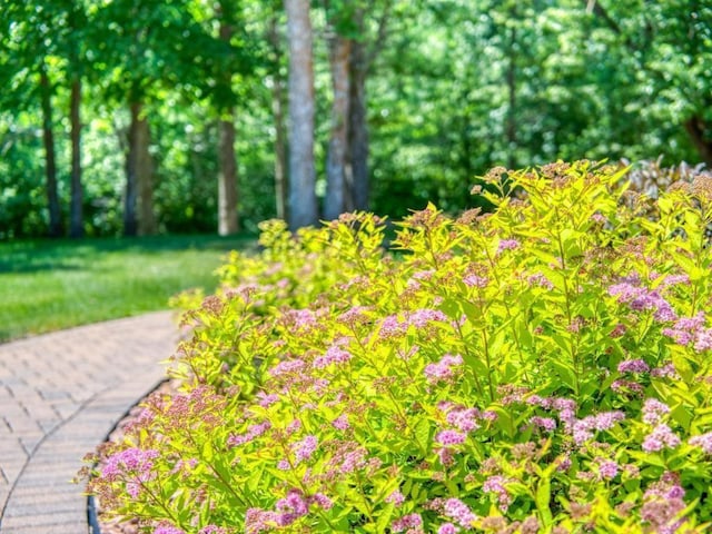 10719 Lumberjack Rd NW, Alaska Twp, MN 56667 - view of yard