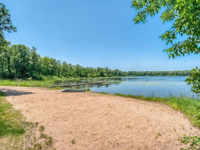 10719 Lumberjack Rd NW, Alaska Twp, MN 56667 - water view with a forest