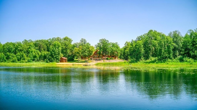 10719 Lumberjack Rd NW, Alaska Twp, MN 56667 - water view featuring a forest