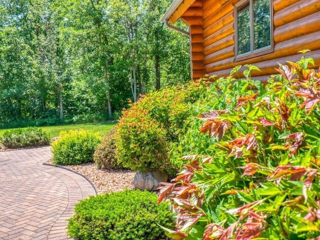 10719 Lumberjack Rd NW, Alaska Twp, MN 56667 - view of yard