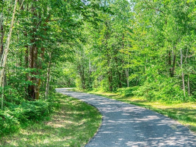 10719 Lumberjack Rd NW, Alaska Twp, MN 56667 - view of street with a forest view