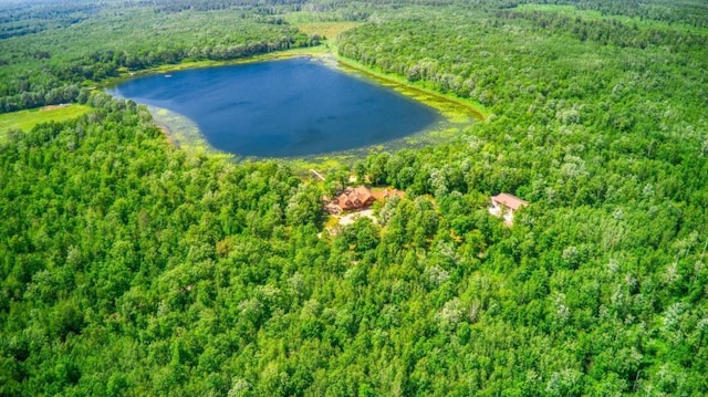 10719 Lumberjack Rd NW, Alaska Twp, MN 56667 - bird's eye view of a forest and a large body of water