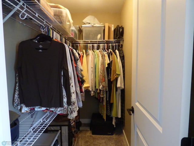 879 Longview Dr, Detroit Lakes, MN 56501 - walk in closet with carpet