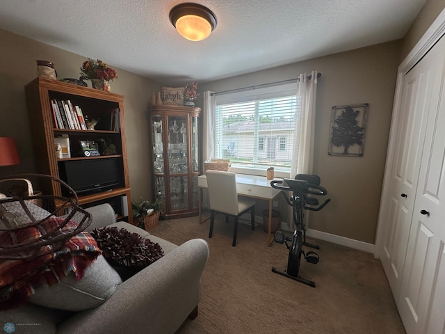 879 Longview Dr, Detroit Lakes, MN 56501 - office space with carpet floors, a textured ceiling, and baseboards