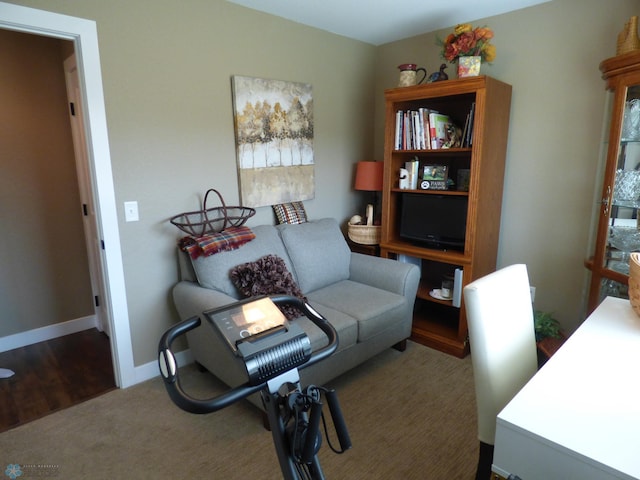879 Longview Dr, Detroit Lakes, MN 56501 - view of carpeted office