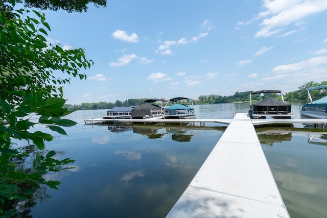 1136 Chelsea Ct, New Brighton, MN 55112 - photo 2