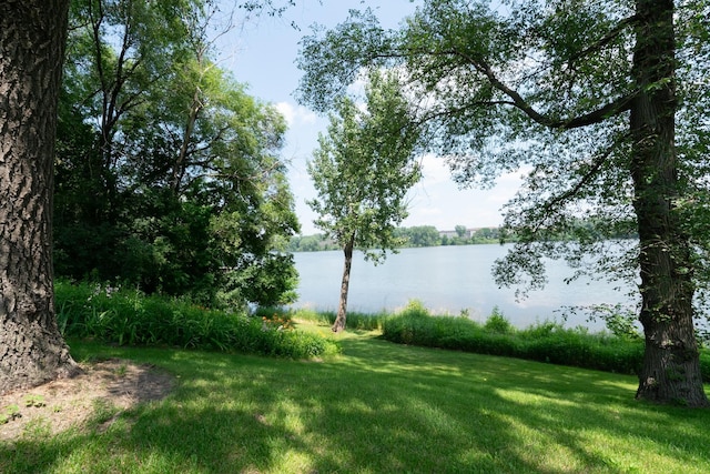 1136 Chelsea Ct, New Brighton, MN 55112 - photo 44