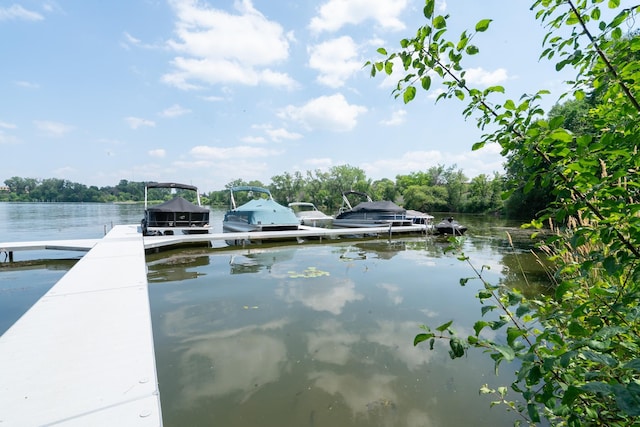 1136 Chelsea Ct, New Brighton, MN 55112 - photo 50