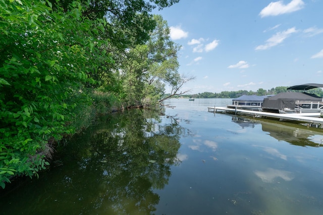 1136 Chelsea Ct, New Brighton, MN 55112 - photo 51