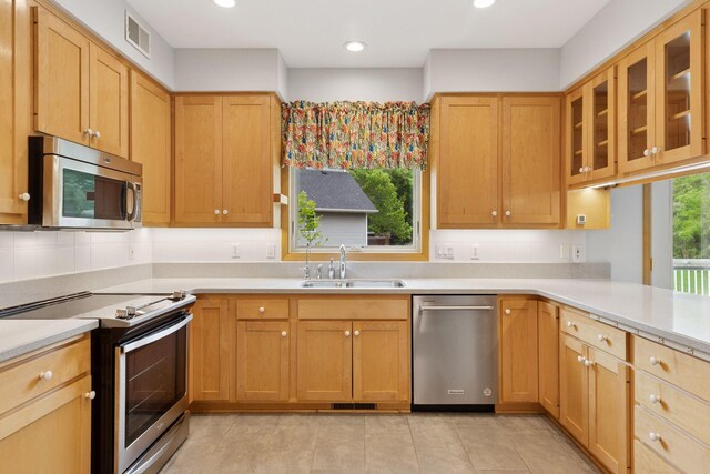 9536 Windflower Pl, Champlin, MN 55316 - kitchen with appliances with stainless steel finishes, a sink, light countertops, glass insert cabinets, and recessed lighting