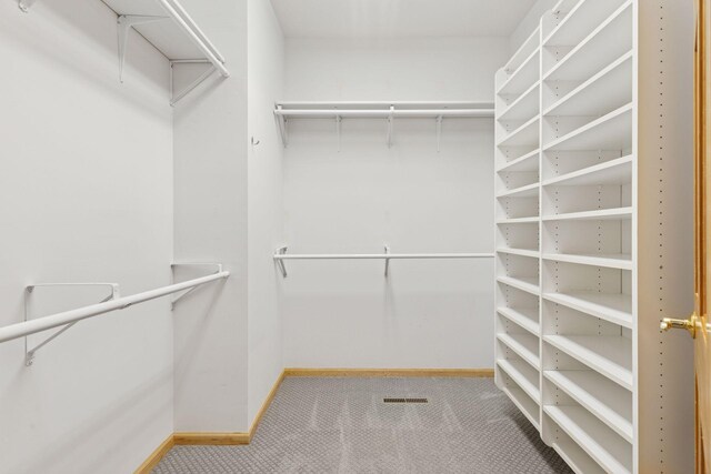 9536 Windflower Pl, Champlin, MN 55316 - walk in closet featuring carpet