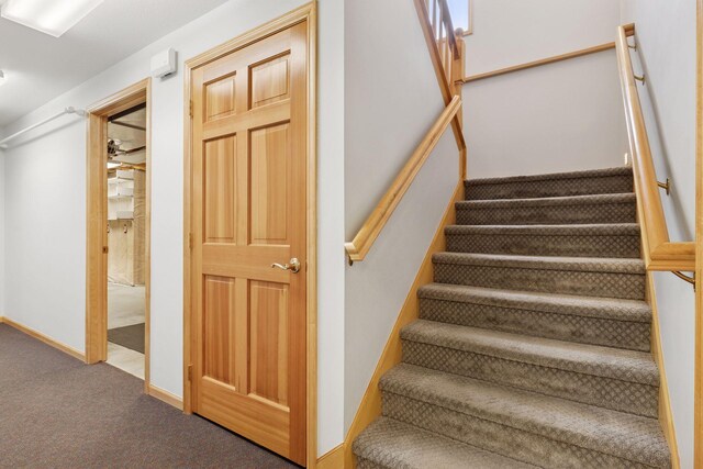 9536 Windflower Pl, Champlin, MN 55316 - stairway with carpet flooring