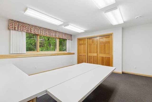 9536 Windflower Pl, Champlin, MN 55316 - unfurnished bedroom featuring carpet and baseboards