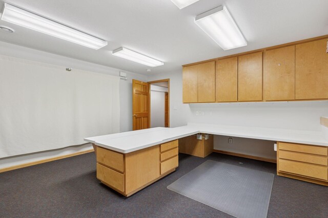 9536 Windflower Pl, Champlin, MN 55316 - unfurnished office with built in desk and dark carpet