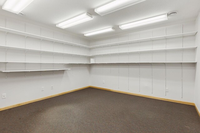9536 Windflower Pl, Champlin, MN 55316 - view of storage room