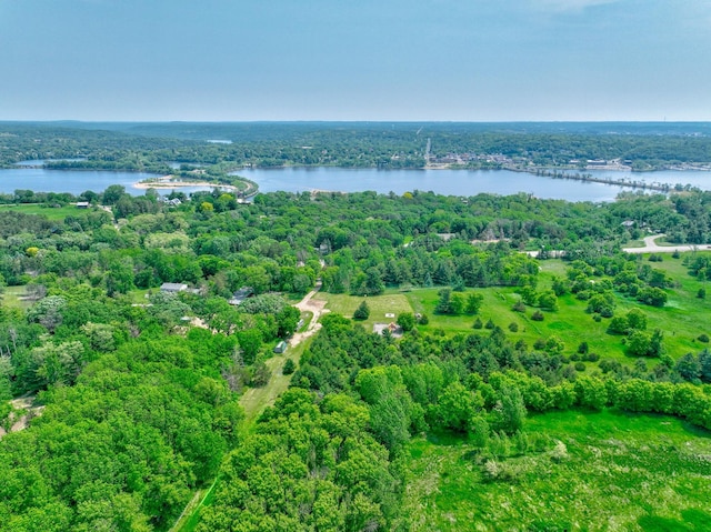 1970 Saint Croix Trl N, West Lakeland Twp, MN 55082 - bird's eye view of a nearby body of water and a forest
