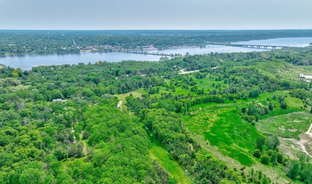 1970 Saint Croix Trl N, West Lakeland Twp, MN 55082 - drone / aerial view of a large body of water, a notable bridge, and a heavily wooded area