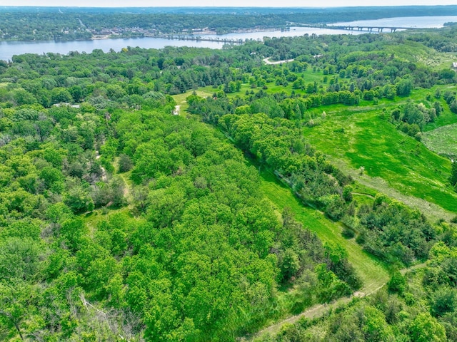 1970 Saint Croix Trl N, West Lakeland Twp, MN 55082 - bird's eye view of a large body of water and a notable bridge