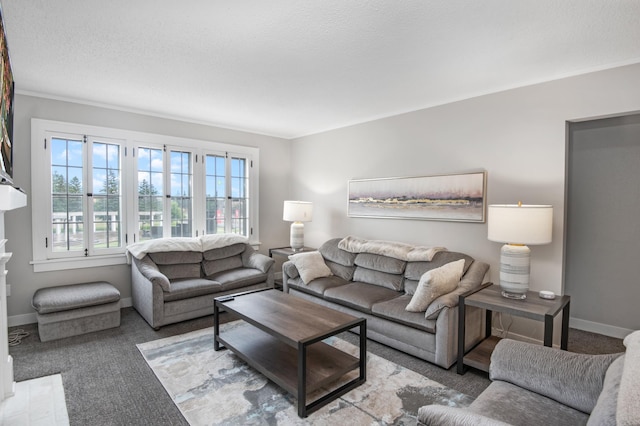917 5th Ave S, Saint Cloud, MN 56301 - photo 6