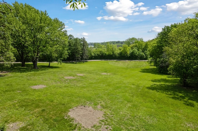 605 Stubbs Bay Rd, Orono, MN 55356 - view of grassy yard