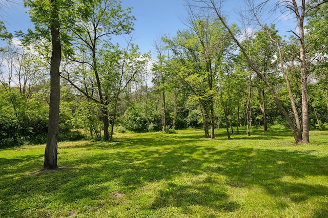 605 Stubbs Bay Rd, Orono, MN 55356 - view of green lawn