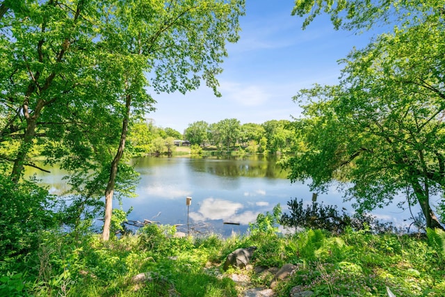 4716 Overlook Dr, Bloomington, MN 55437 - water view