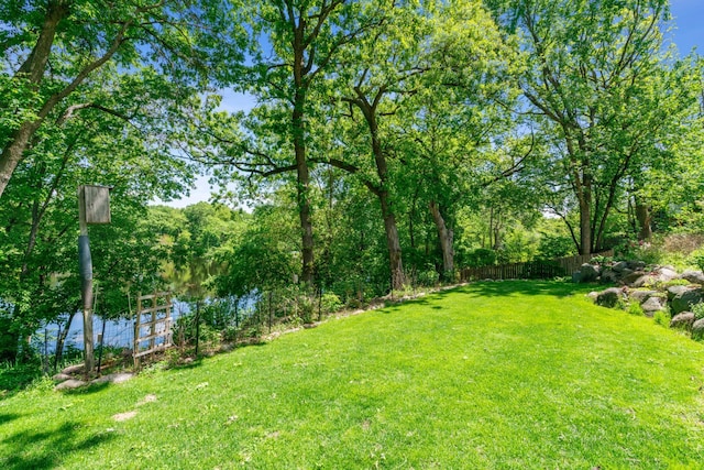 4716 Overlook Dr, Bloomington, MN 55437 - view of yard