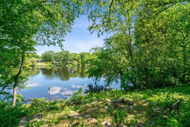 4716 Overlook Dr, Bloomington, MN 55437 - water view