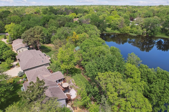 4716 Overlook Dr, Bloomington, MN 55437 - aerial view of a forest and a large body of water
