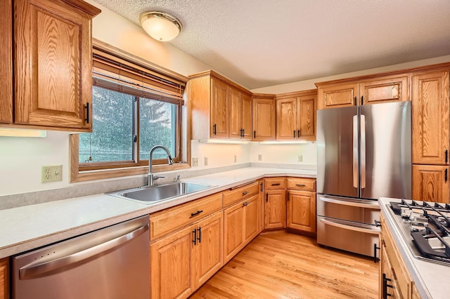3544 166th Ln NW, Andover, MN 55304 - kitchen with appliances with stainless steel finishes, a sink, light countertops, light wood-style floors, and brown cabinetry