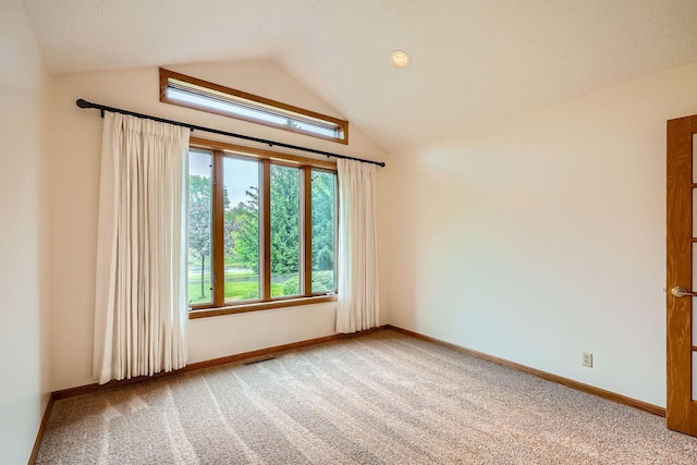 3544 166th Ln NW, Andover, MN 55304 - spare room featuring vaulted ceiling, carpet floors, and baseboards