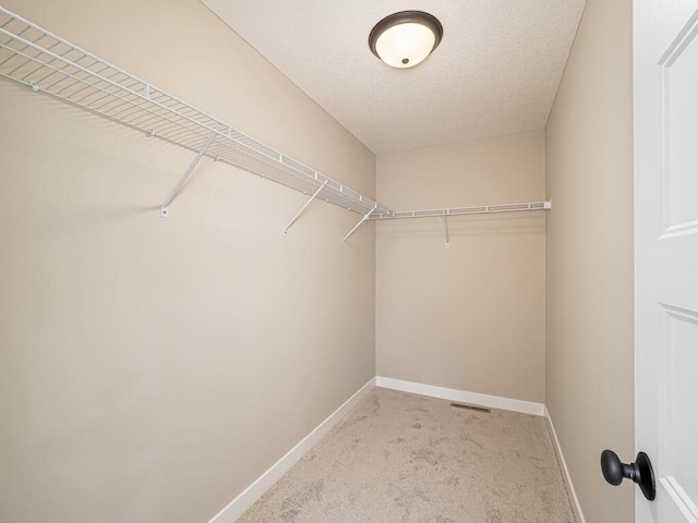 20713 Tamarack St NW, Oak Grove, MN 55011 - walk in closet featuring carpet floors