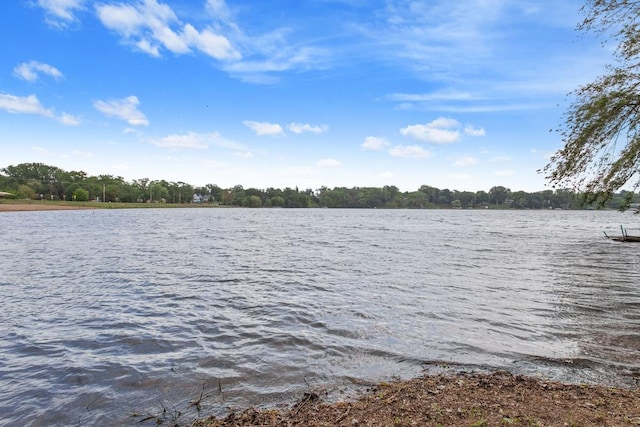 364 Owasso Blvd N, Shoreview, MN 55126 - water view