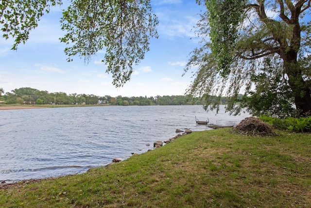 364 Owasso Blvd N, Shoreview, MN 55126 - view of yard featuring a water view and a boat dock