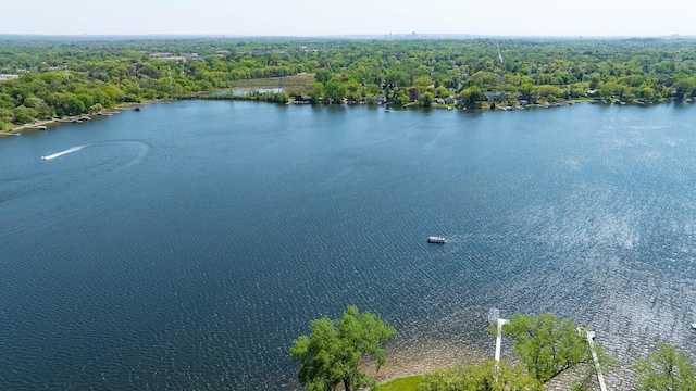364 Owasso Blvd N, Shoreview, MN 55126 - aerial view of a large body of water and a heavily wooded area
