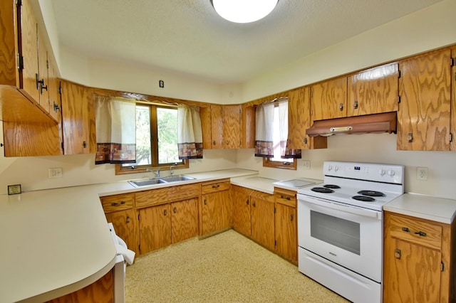 41475 County Road 183, Ashley Twp, MN 56378 - photo 26
