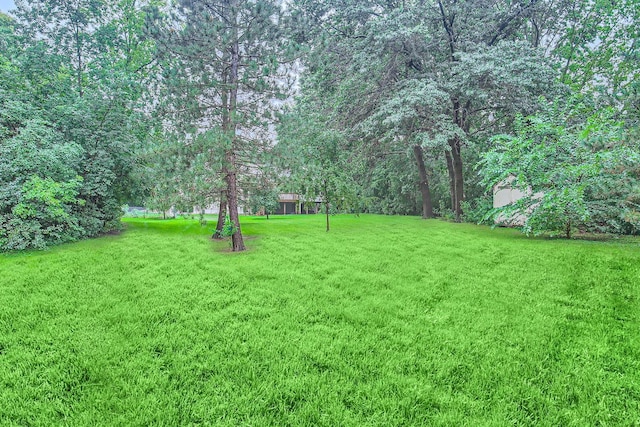701 Parkview Ln N, Champlin, MN 55316 - view of green lawn with a forest view