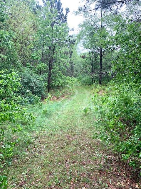 701 Parkview Ln N, Champlin, MN 55316 - view of wooded area