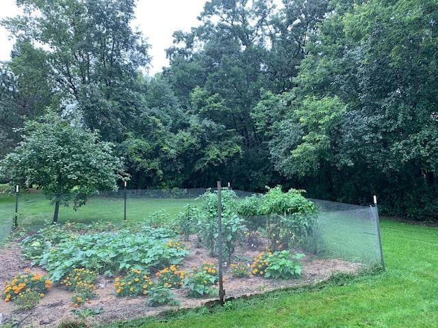 701 Parkview Ln N, Champlin, MN 55316 - view of green lawn featuring a vegetable garden