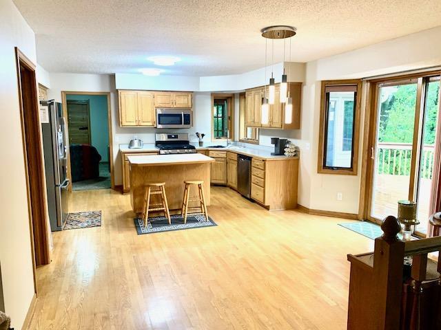 701 Parkview Ln N, Champlin, MN 55316 - photo 10