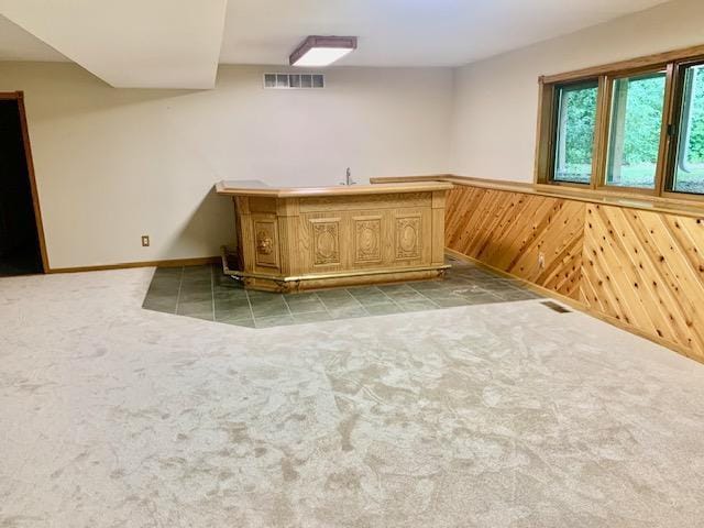 701 Parkview Ln N, Champlin, MN 55316 - photo 21