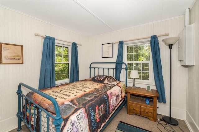 9298 Park Ave, Solon Springs, WI 54873 - carpeted bedroom with crown molding