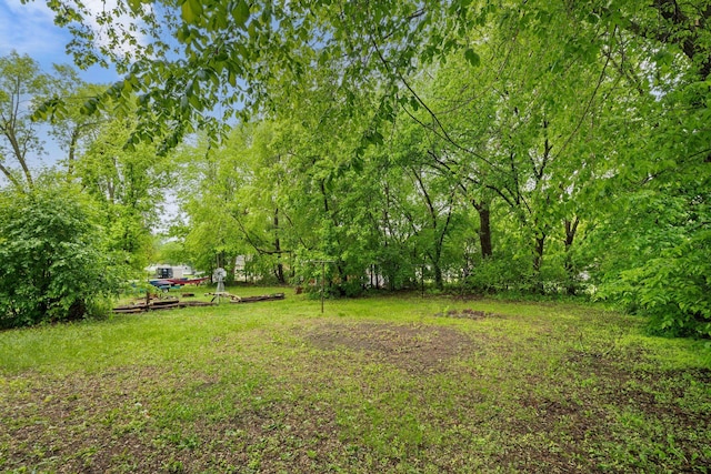 318 Austin Ave, Litchfield, MN 55355 - view of yard