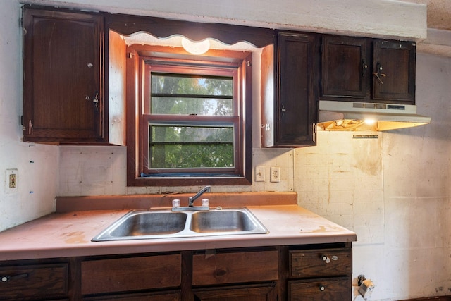 318 Austin Ave, Litchfield, MN 55355 - kitchen with a sink, dark brown cabinetry, light countertops, and under cabinet range hood
