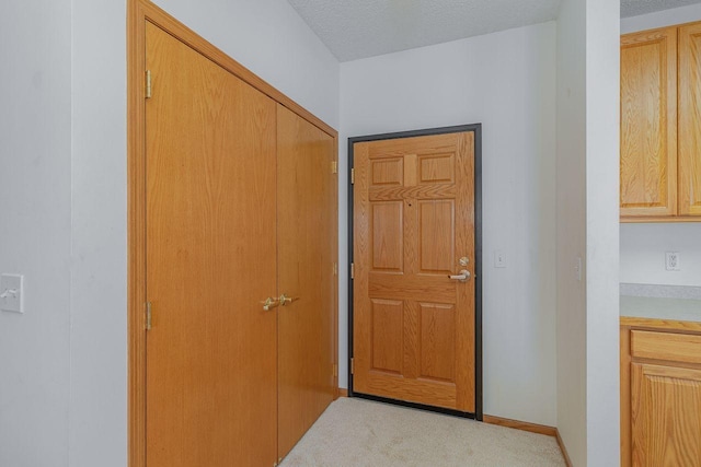 4824 53rd St Unit 410, Minneapolis, MN 55417 - entryway featuring carpet flooring