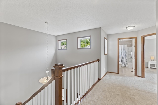 4231 Maple Hurst Dr N, Rockford, MN 55373 - hall featuring an upstairs landing, carpet flooring, and a textured ceiling