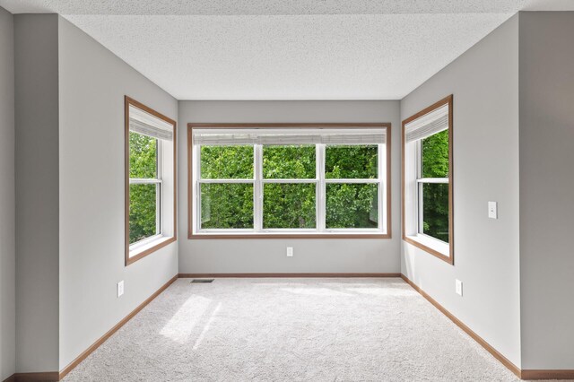 4231 Maple Hurst Dr N, Rockford, MN 55373 - carpeted empty room with plenty of natural light and a textured ceiling