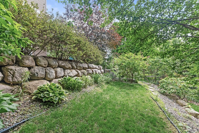 4231 Maple Hurst Dr N, Rockford, MN 55373 - view of yard