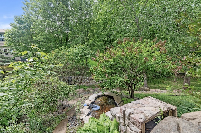 4231 Maple Hurst Dr N, Rockford, MN 55373 - view of yard