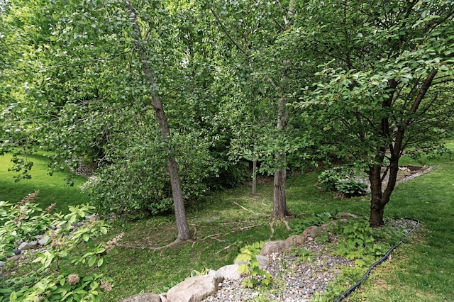 4231 Maple Hurst Dr N, Rockford, MN 55373 - view of nature